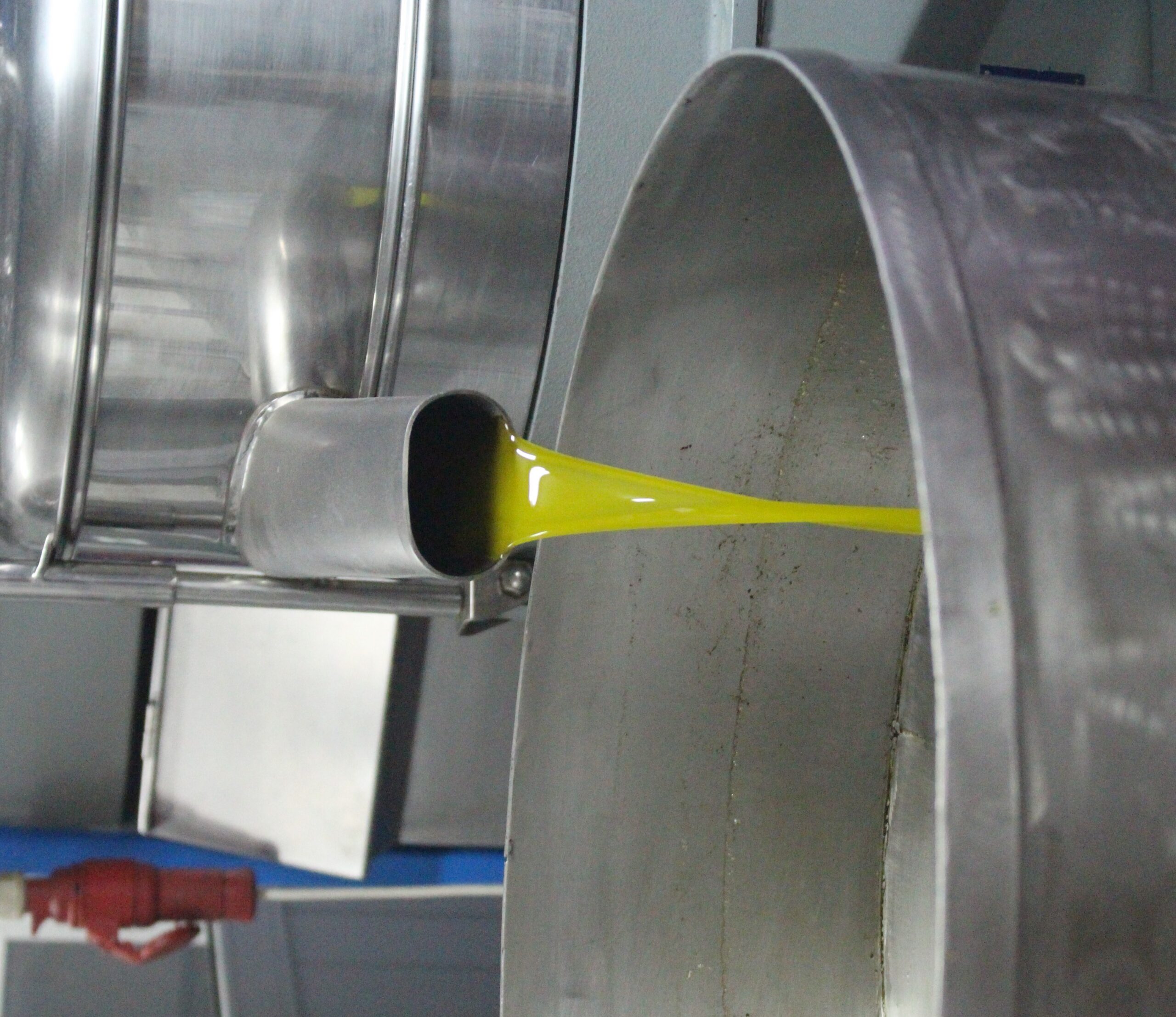 Agricultura na região: preço do azeite cai mas venda de animais a preços cada vez mais altos