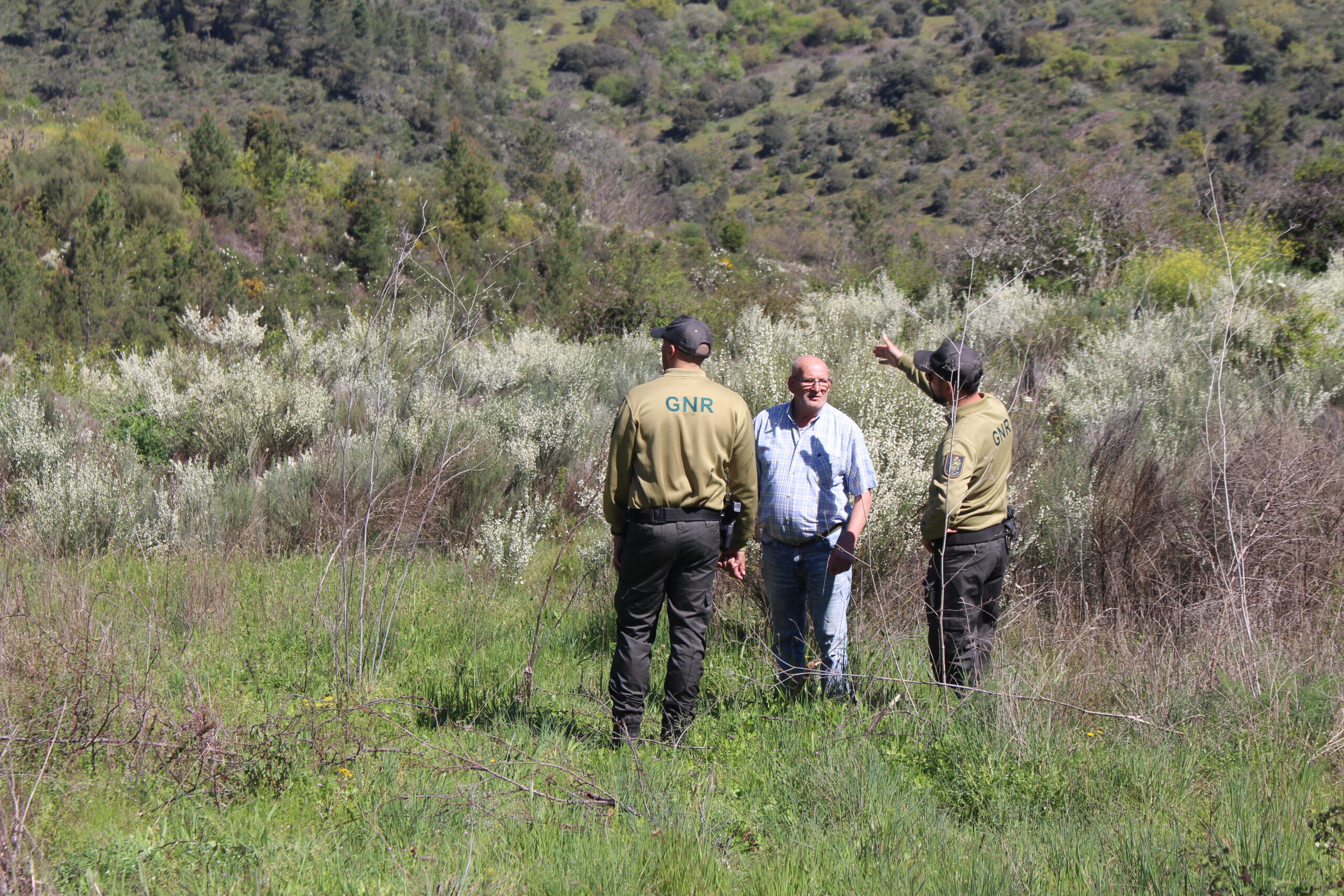 Prazo para a limpeza dos terrenos alargado por mais duas semanas