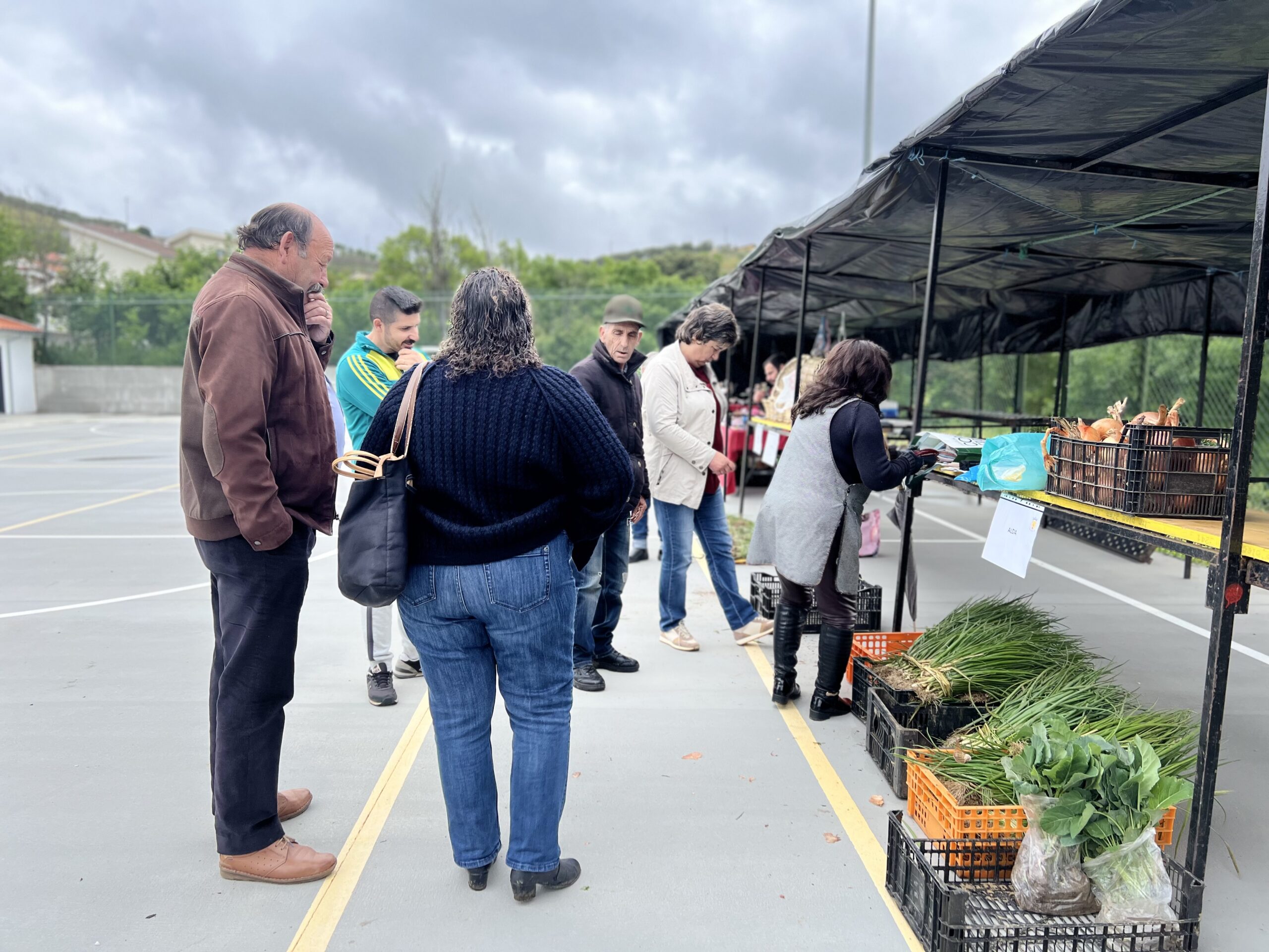 Cebolo gera 15 a 20 mil euros em Alfaião