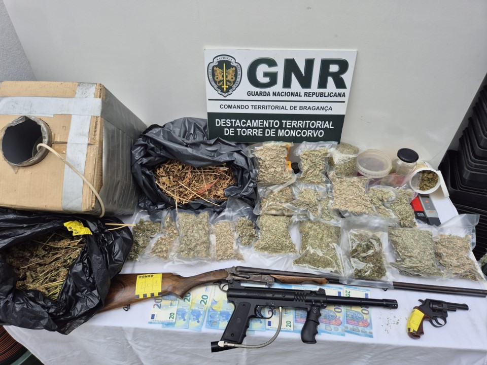 GNR apreende quase 8 mil doses de cannabis a dois homens em Freixo de Espada à Cinta
