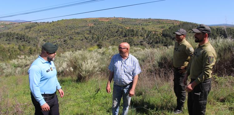 GNR arranca com fiscalizações após fim do prazo para limpeza de terrenos
