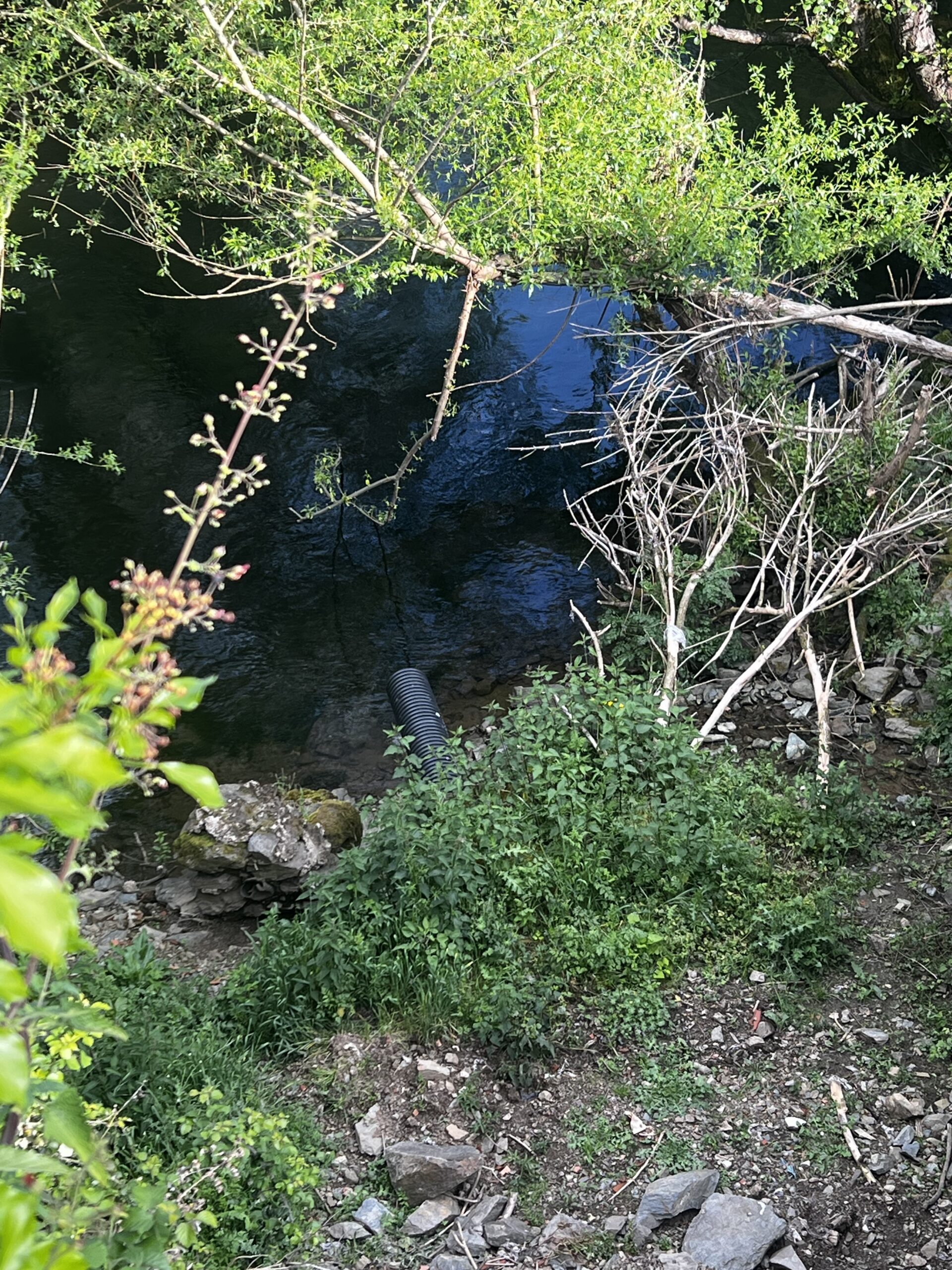 Descargas no rio Sabor: lei permite mas agricultor está revoltado