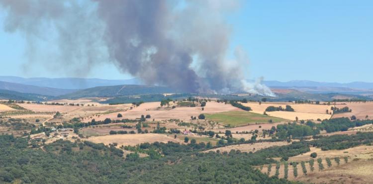 Mais de 200 bombeiros e nove meios aéreos combatem incêndio na aldeia de Aveleda