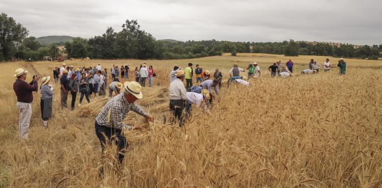 Lombada – Festival de Música e Tradição celebra 25 anos