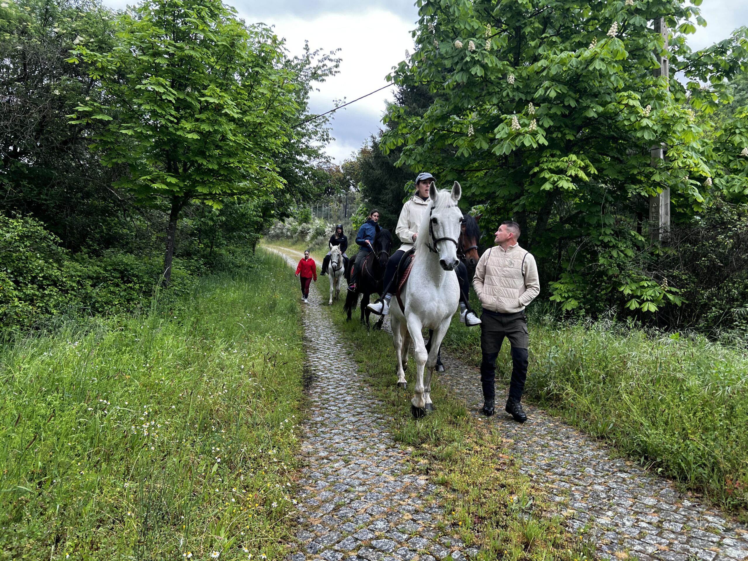 Turismo em Trás-os-Montes continua a atrair cada vez mais visitantes