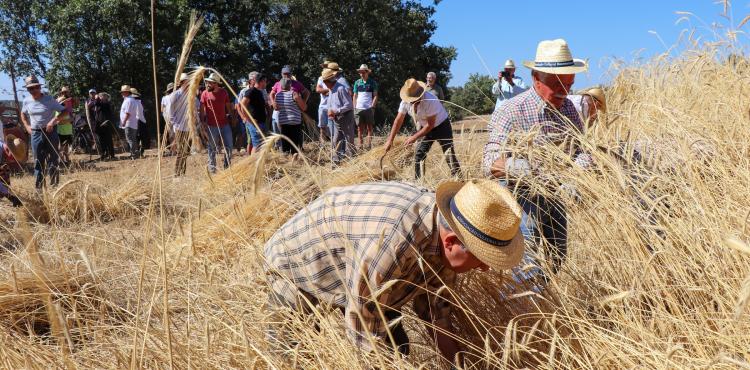 Começa hoje o Lombada – Festival de Música e Tradição em Palácios