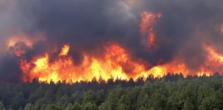 Perto de 100 bombeiros mobilizados em incêndio que deflagrou em Lavandeira (Carrazeda de Ansiães)
