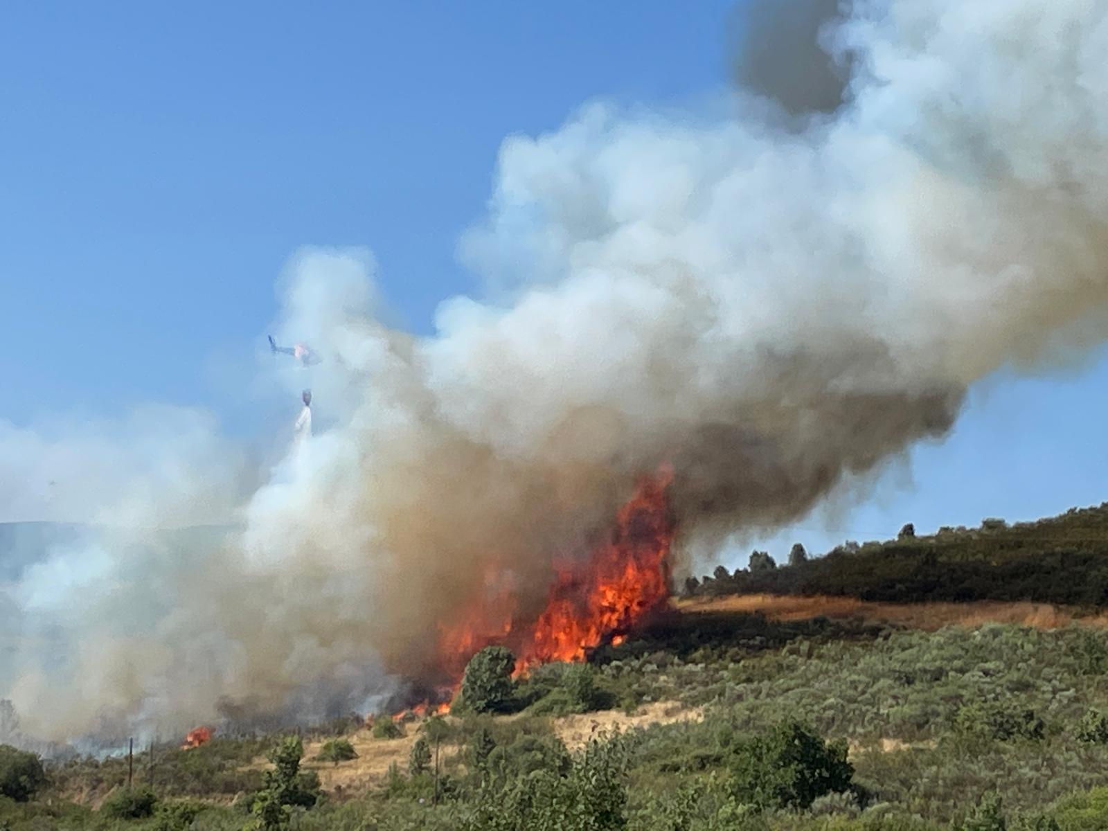Está dominado incêndio que deflagrou em Macedo de Cavaleiros