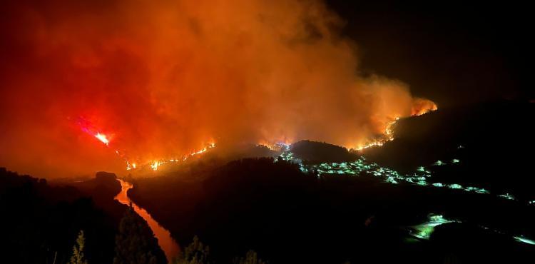 Homens apanhados a atear fogo em Vinhais vão aguardar julgamento em liberdade