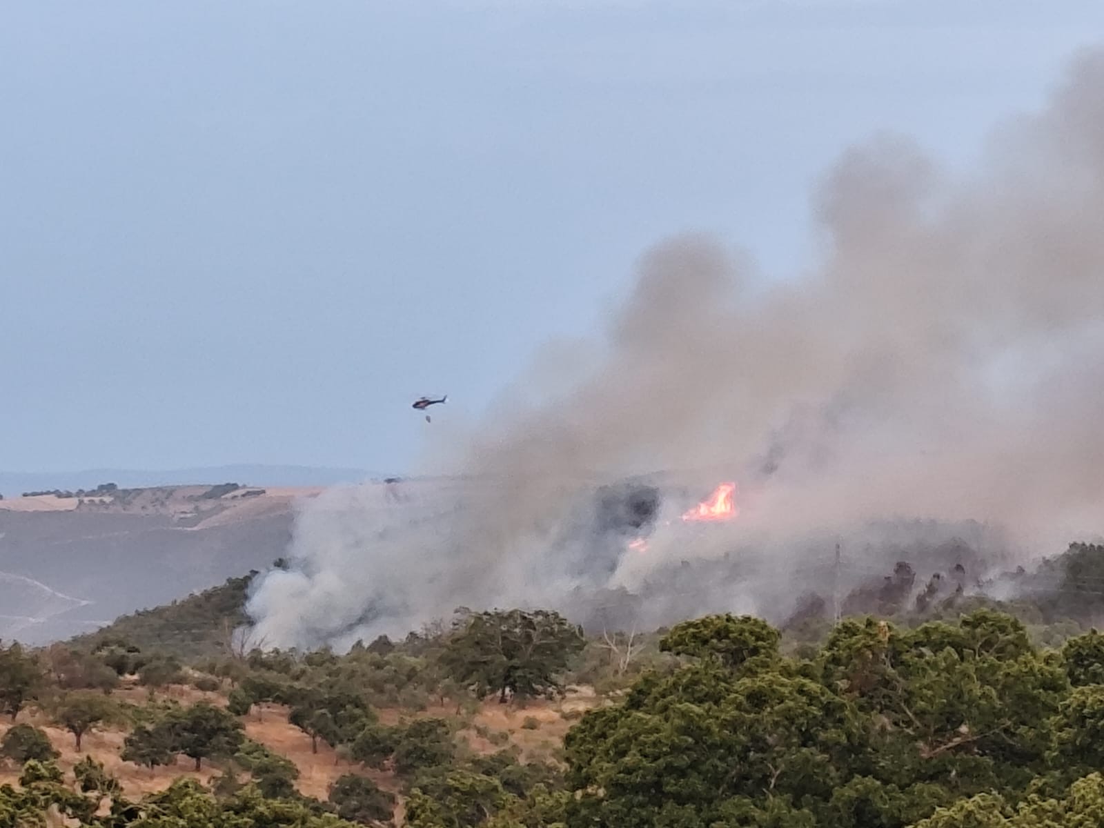 Incêndio na Sarzeda entrou em fase de resolução