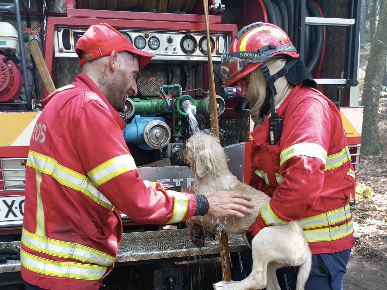 Vinhaense a viver na Madeira regressa todos os verões à terra para ajudar bombeiros