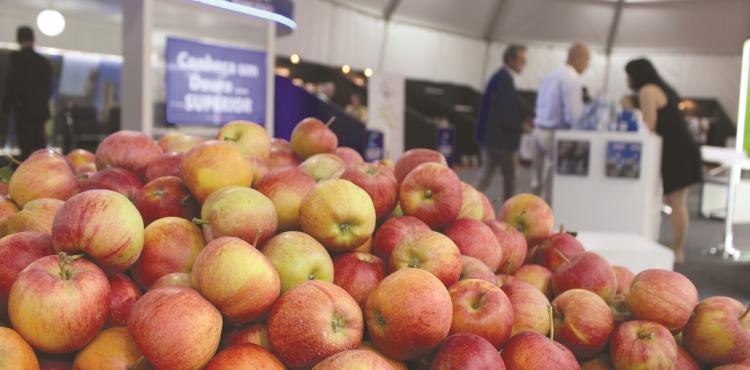 Feira da Maçã, Vinho e Azeite volta a animar Carrazeda de Ansiães de 29 a 31 de agosto