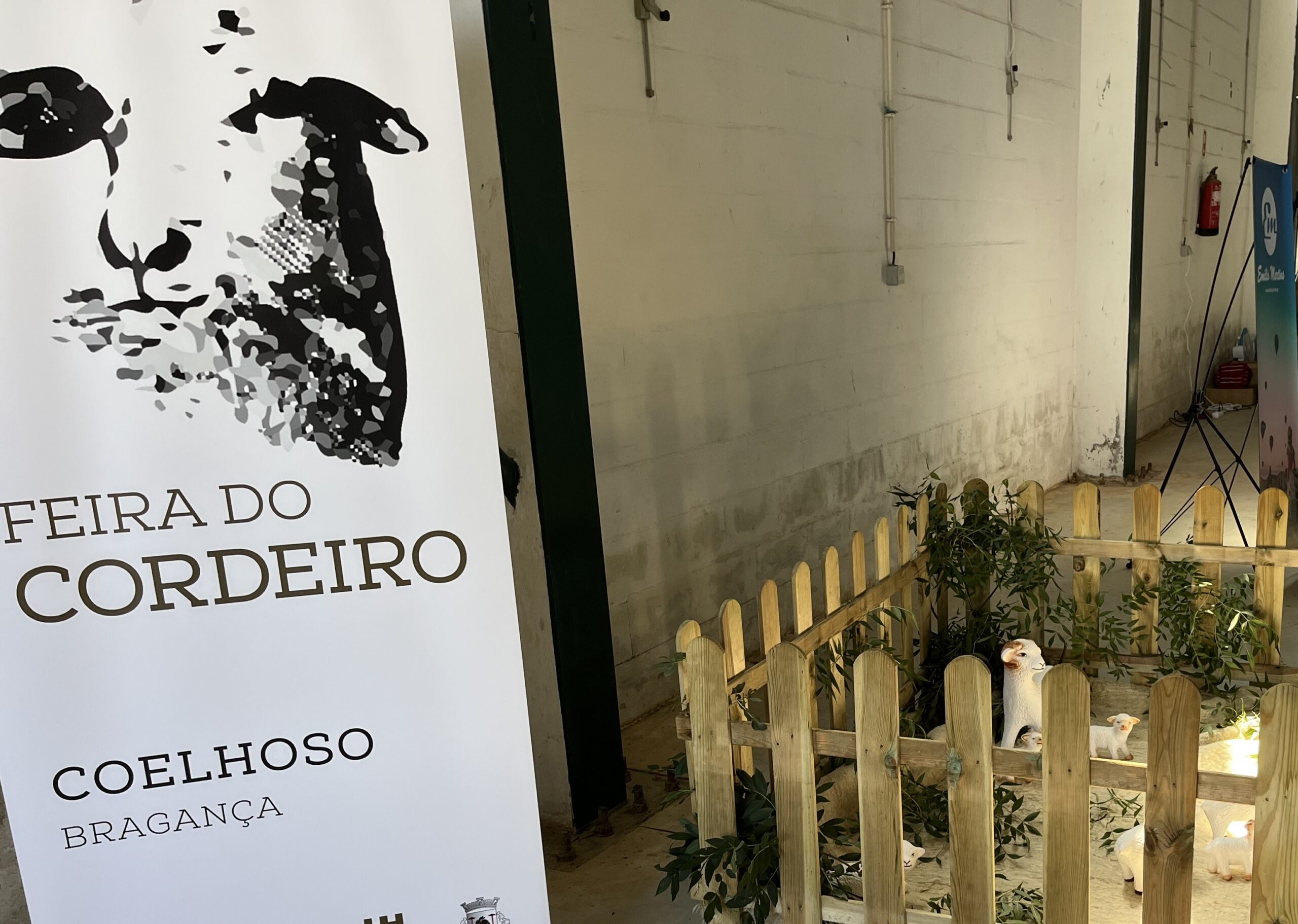 Feira do Cordeiro de Coelhoso mantém tradição com jogos e sabores, mesmo sem concurso de ovelhas