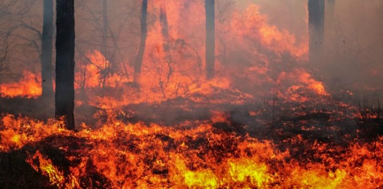 Autarca de Alfândega da Fé quer isentar o pagamento de água no mês de agosto às freguesias afetadas