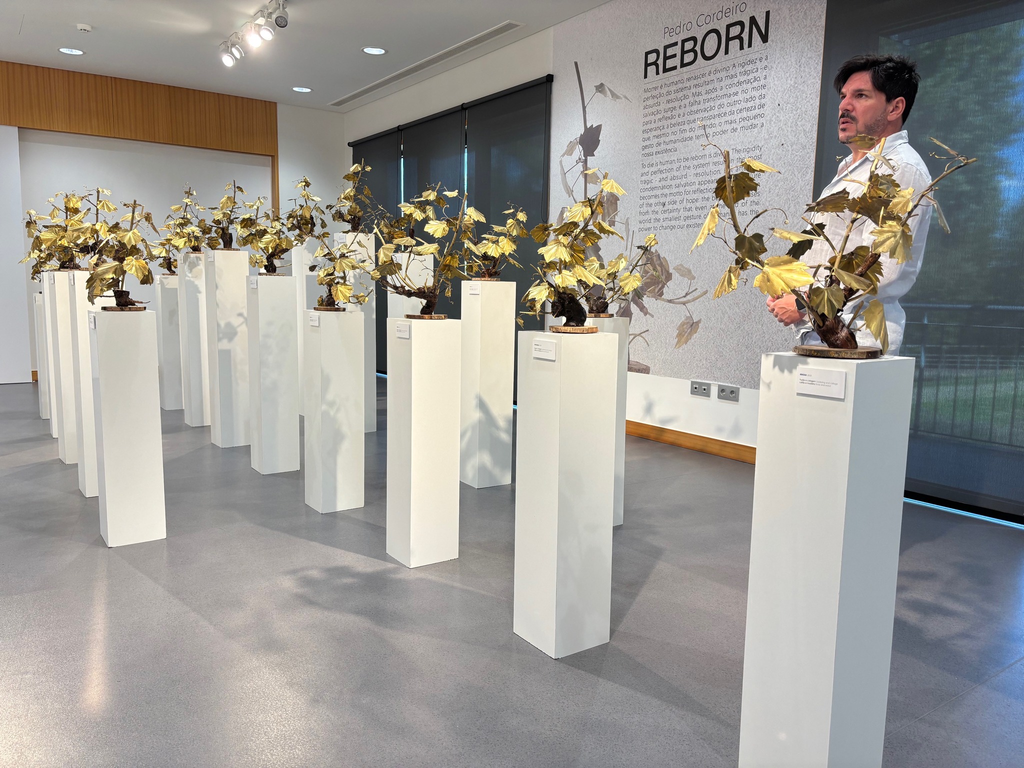 Mirandelense Pedro Cordeiro tem exposição de escultura “Reborn” patente na Ecoteca