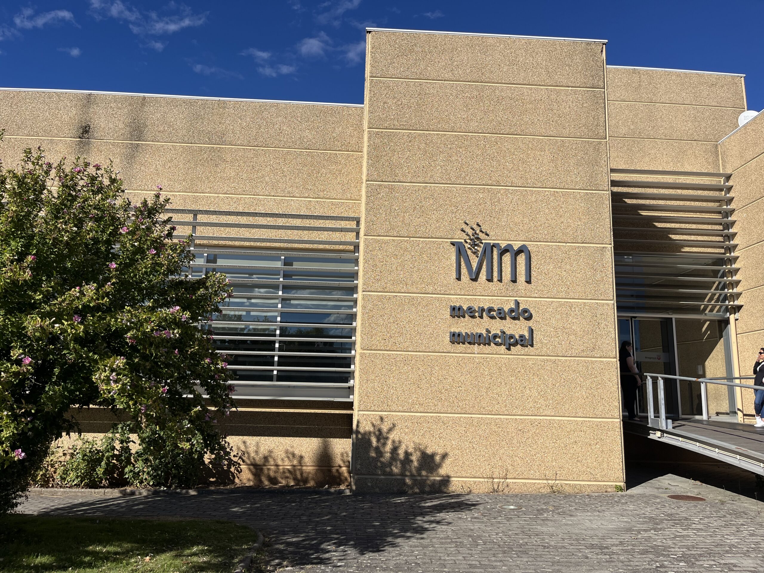 Sem clientes e com rendas elevadas, comerciantes do Mercado Municipal de Bragança pedem medidas urgentes