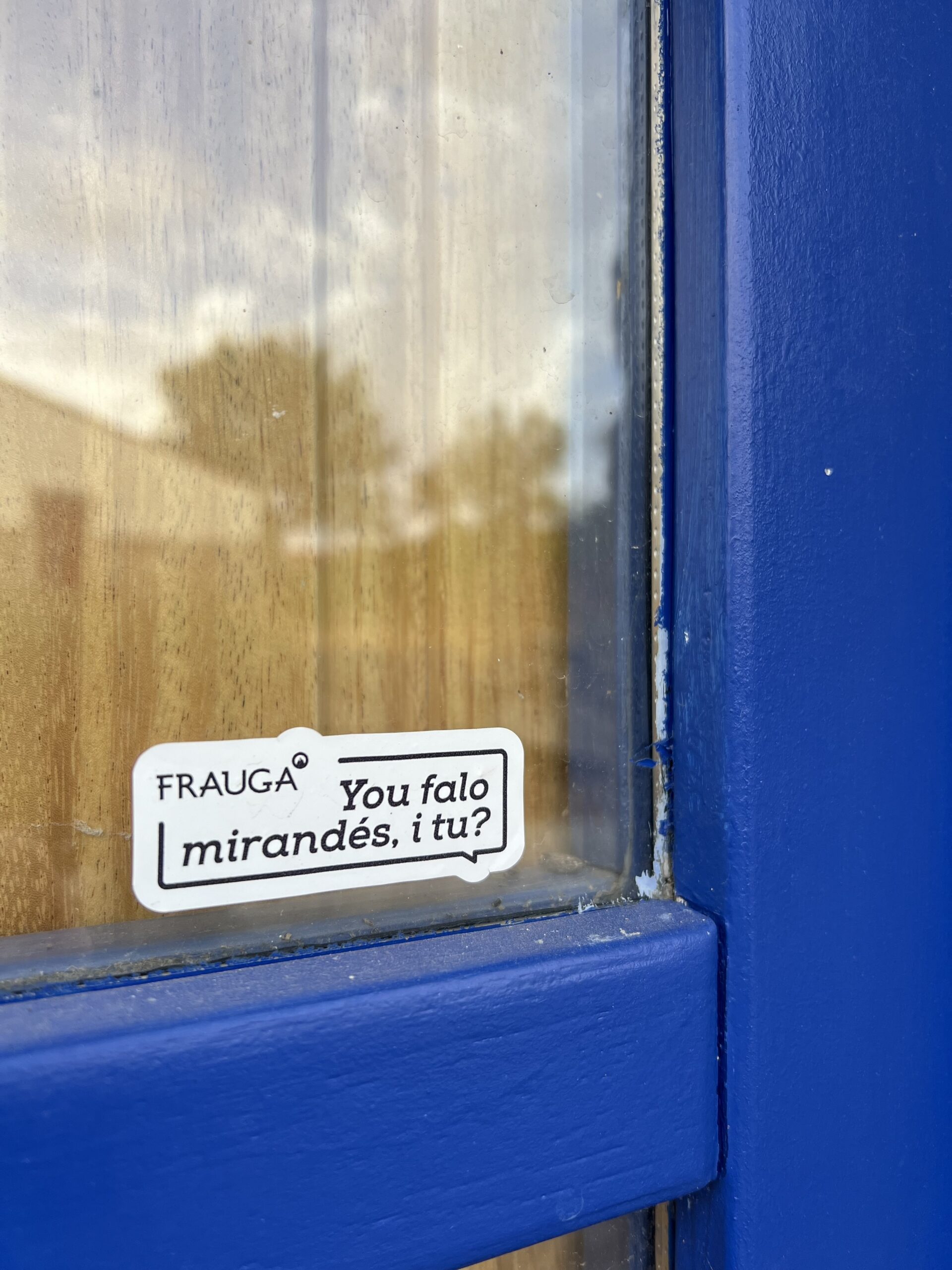 Língua mirandesa precisa “urgentemente” de dicionários e glossários