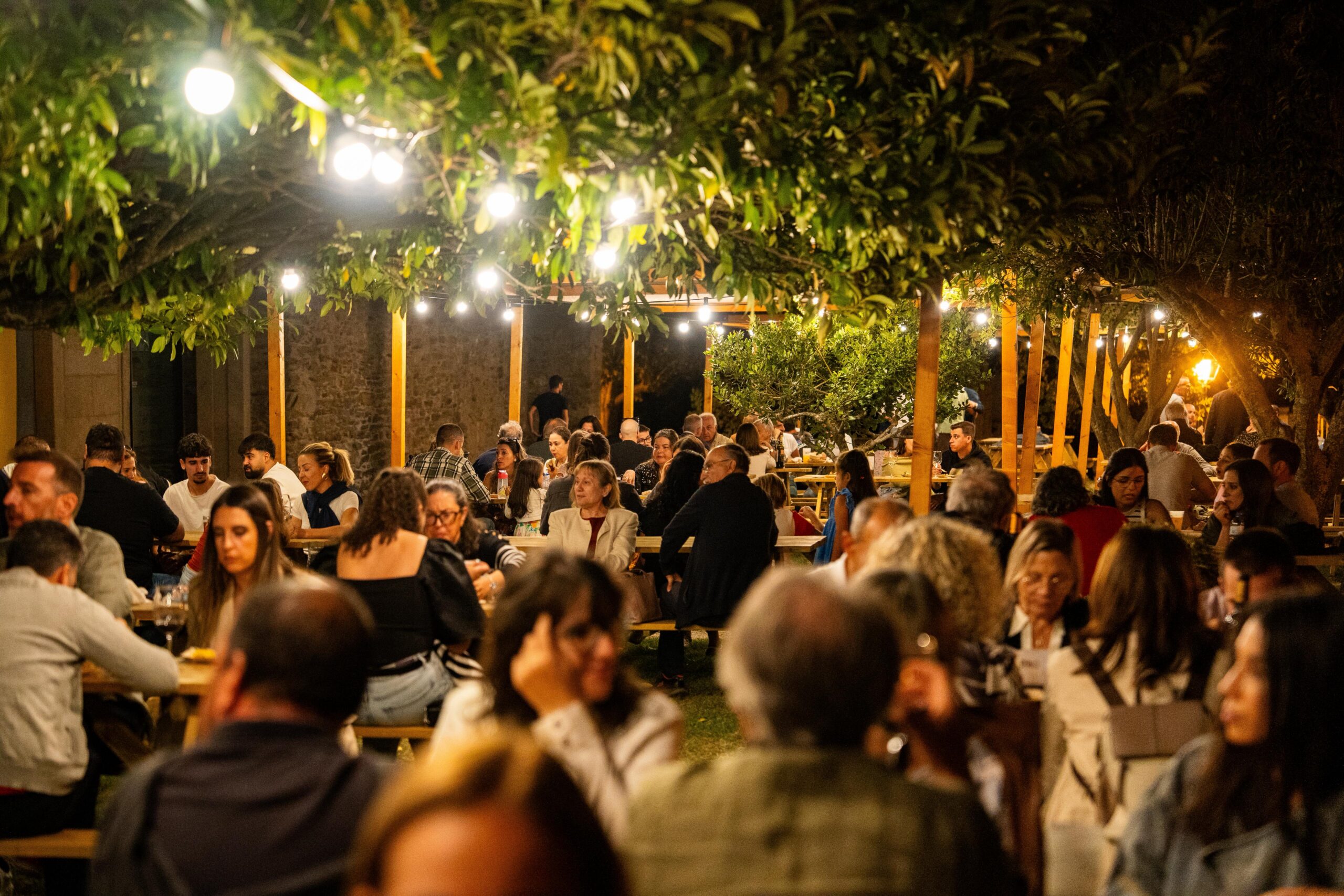 Miranda do Douro prepara pacote de apoios ao nascimento de bovinos de raça mirandesa