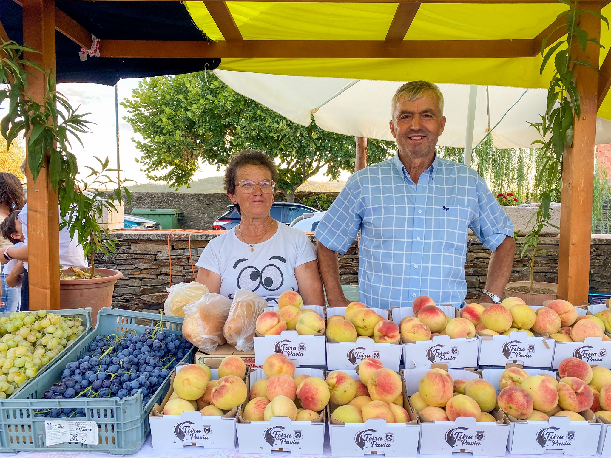 Pavia das Arcas está atrasada e produtores queixam-se de quebras na produção