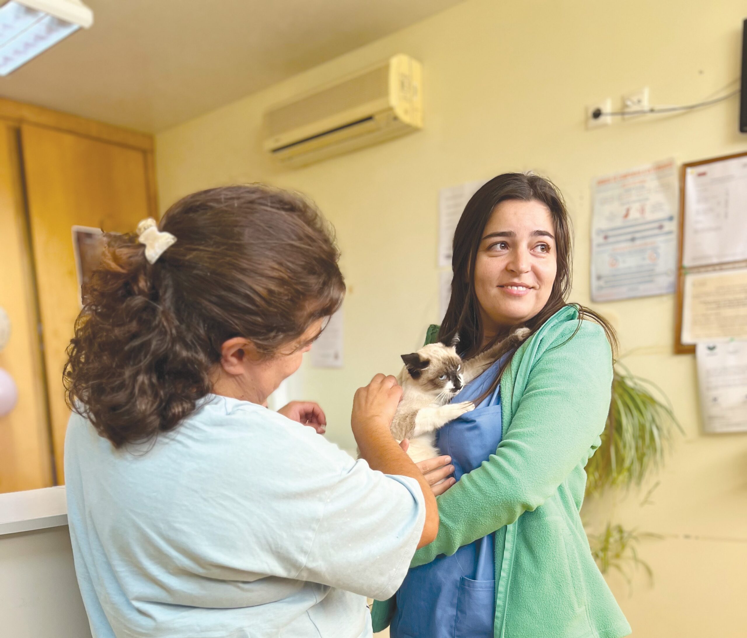 Cantinho do Animal cresce mas abandono não dá tréguas