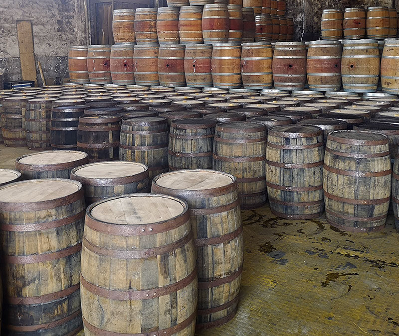 Núcleo Museológico da Tanoaria já tem financiamento e espaço para ser construído em Carrazeda de Ansiães