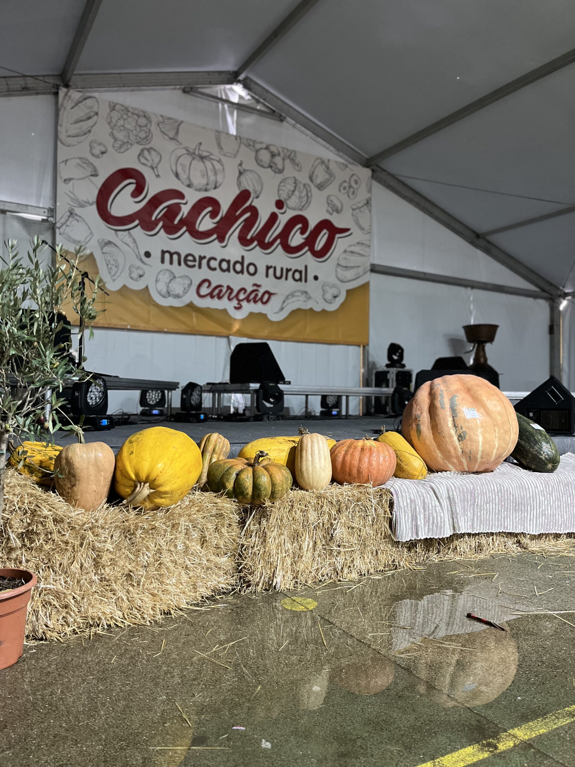 7ª edição do mercado rural “Cachico” animou a aldeia de Carção ao longo do fim de semana