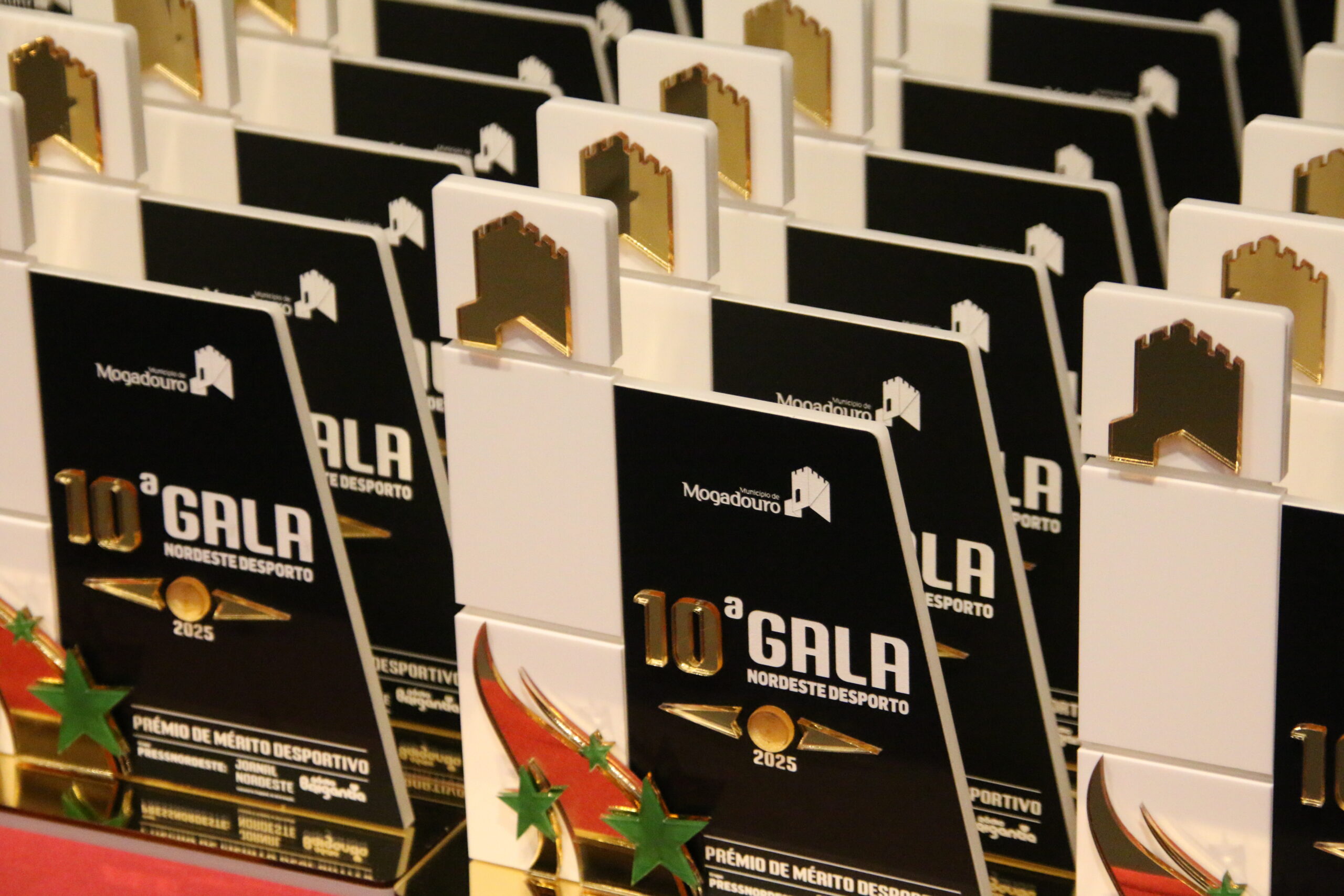 Décima Gala Nordeste Desporto celebrou mérito desportivo e inclusão em Mogadouro