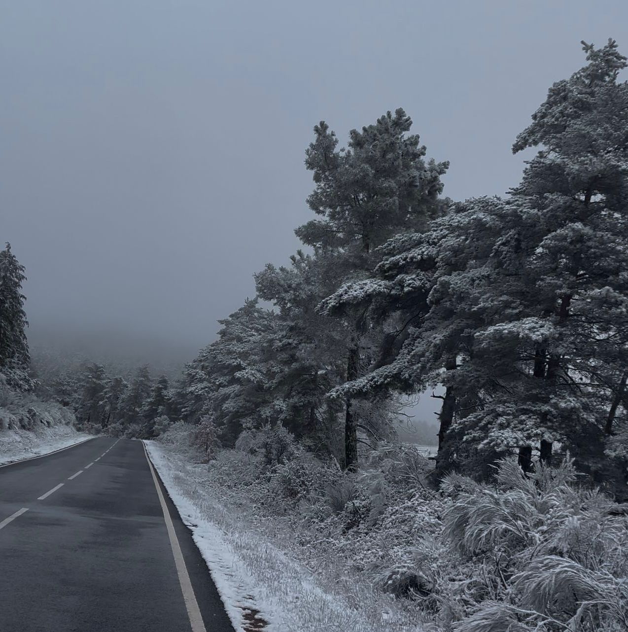 Distrito de Bragança sob aviso amarelo devido à queda de neve