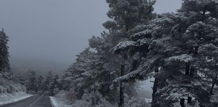 Distrito de Bragança sob aviso amarelo devido ao nevoeiro persistente e formação de sincelo
