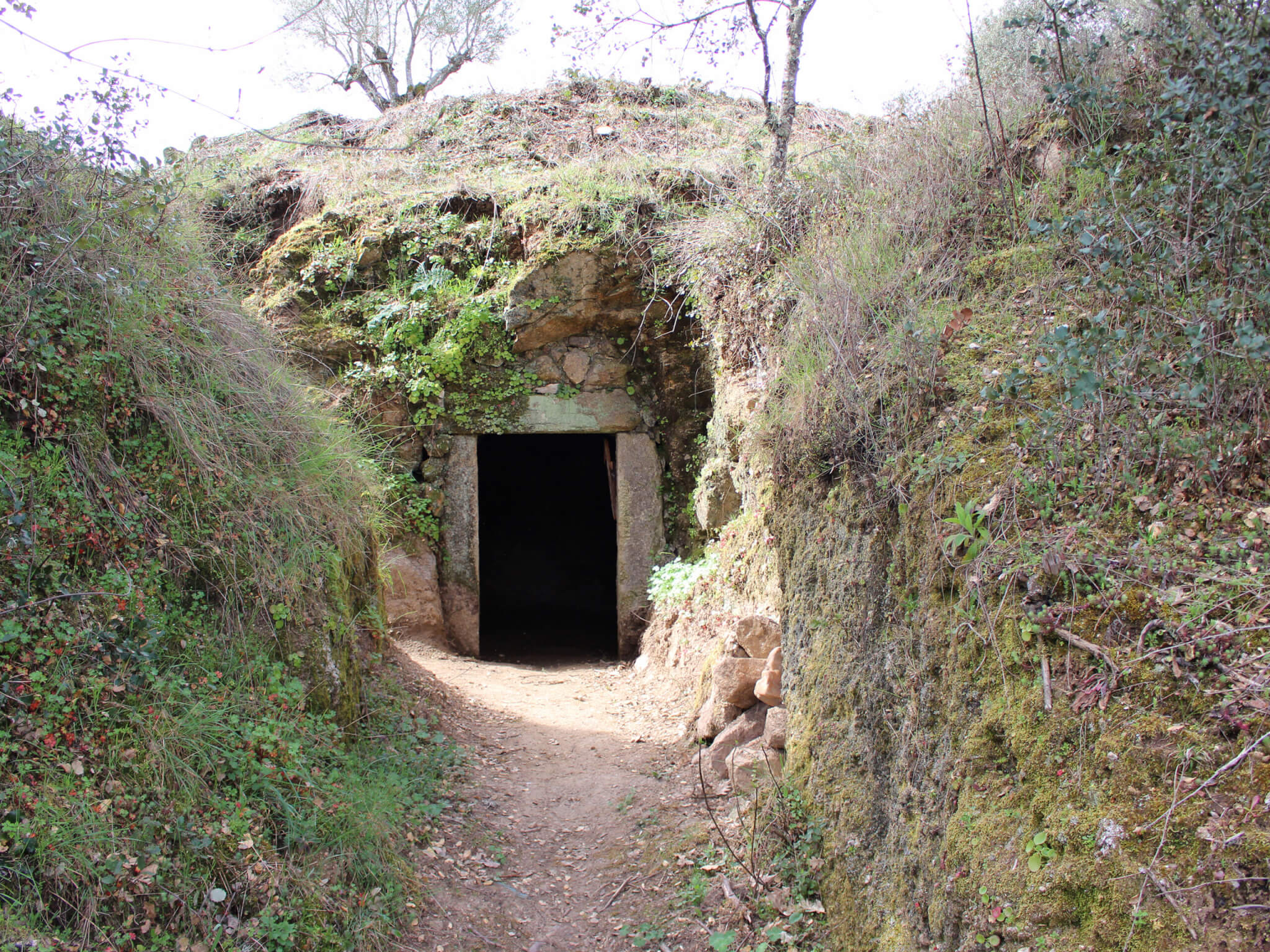 Câmara de Mogadouro adjudica obra de recuperação das bodegas de Urrós