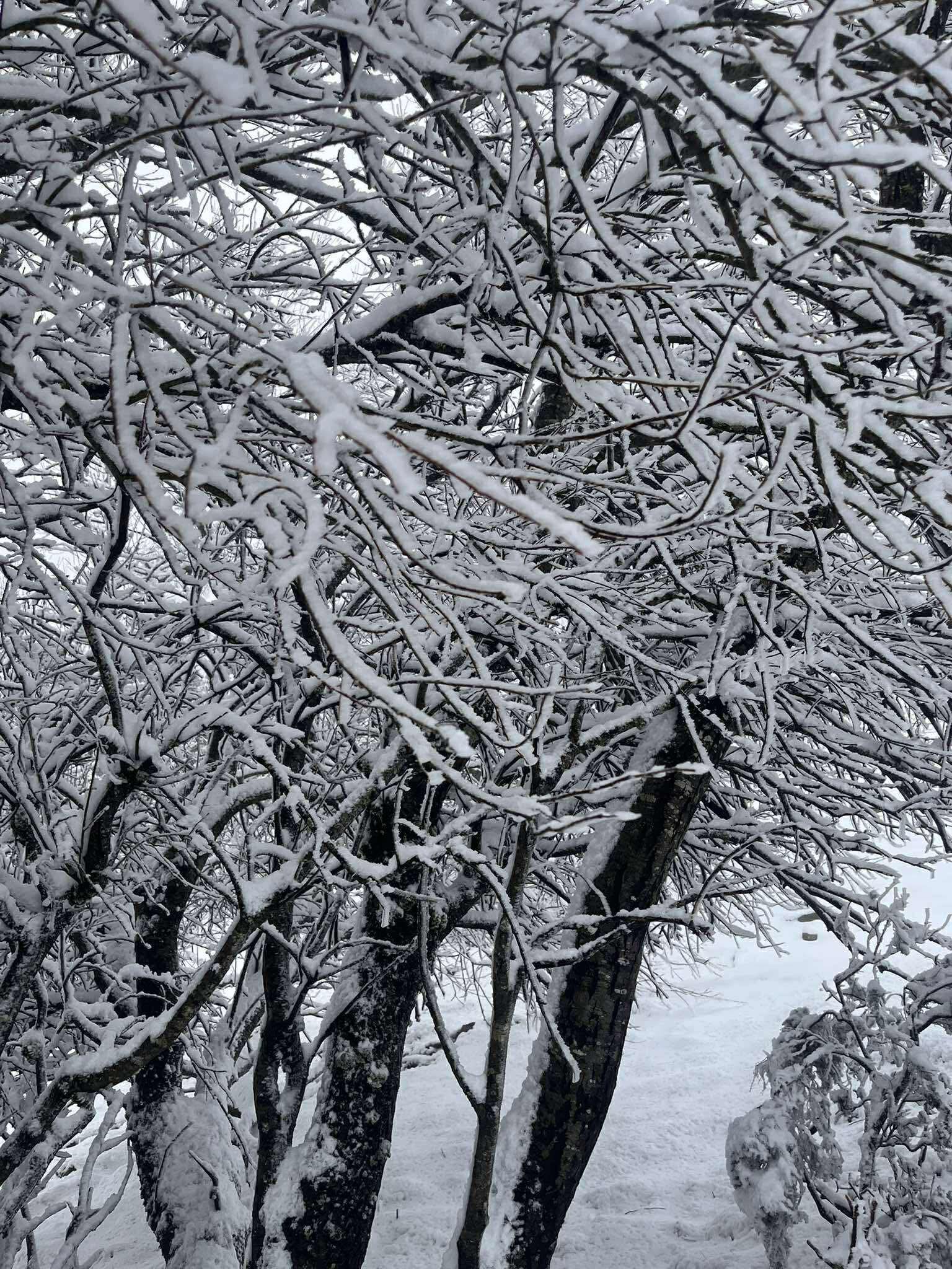 IPMA prevê queda de neve para o fim de semana e coloca distrito de Bragança sob aviso laranja