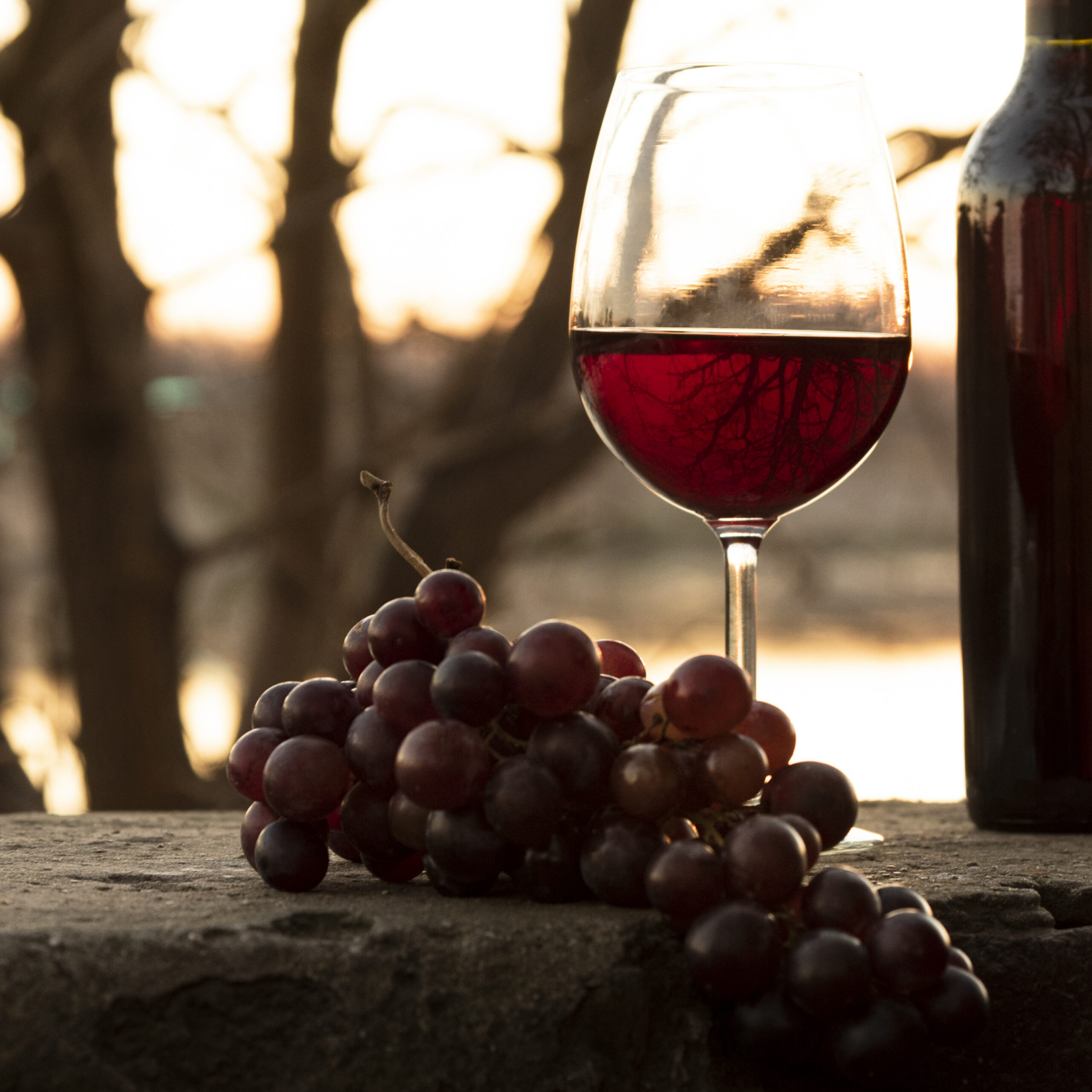 Vinhos de Trás-os-Montes surpreendem pela qualidade, mas carecem de maior visibilidade