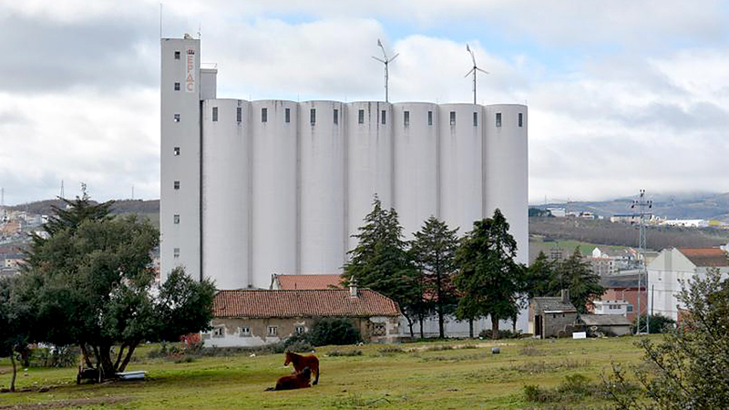 Câmara de Bragança poderá lançar novo concurso para o Museu da Língua Portuguesa que tem taxa de execução a “menos de 30%”