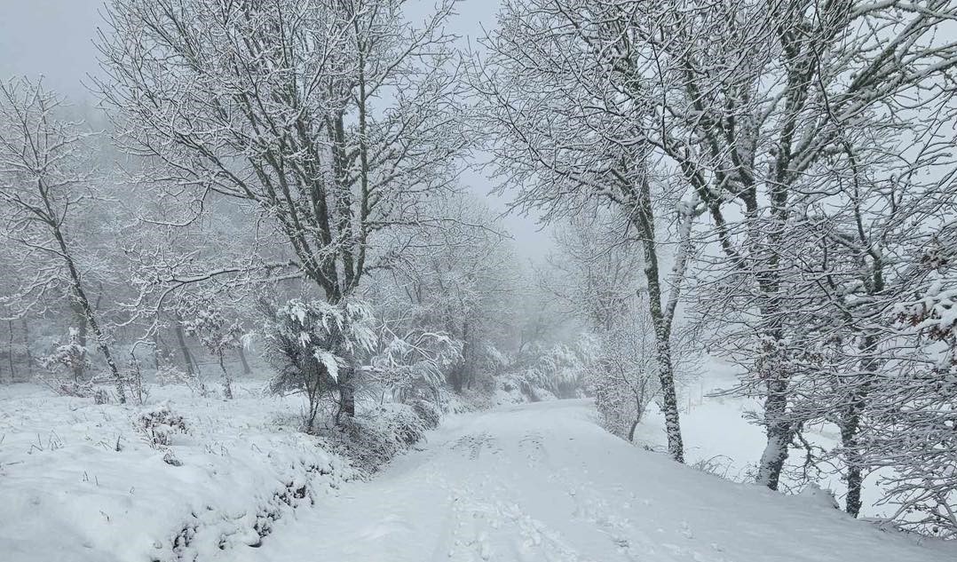Queda de neve coloca novamente distritos transmontanos sob aviso amarelo e laranja