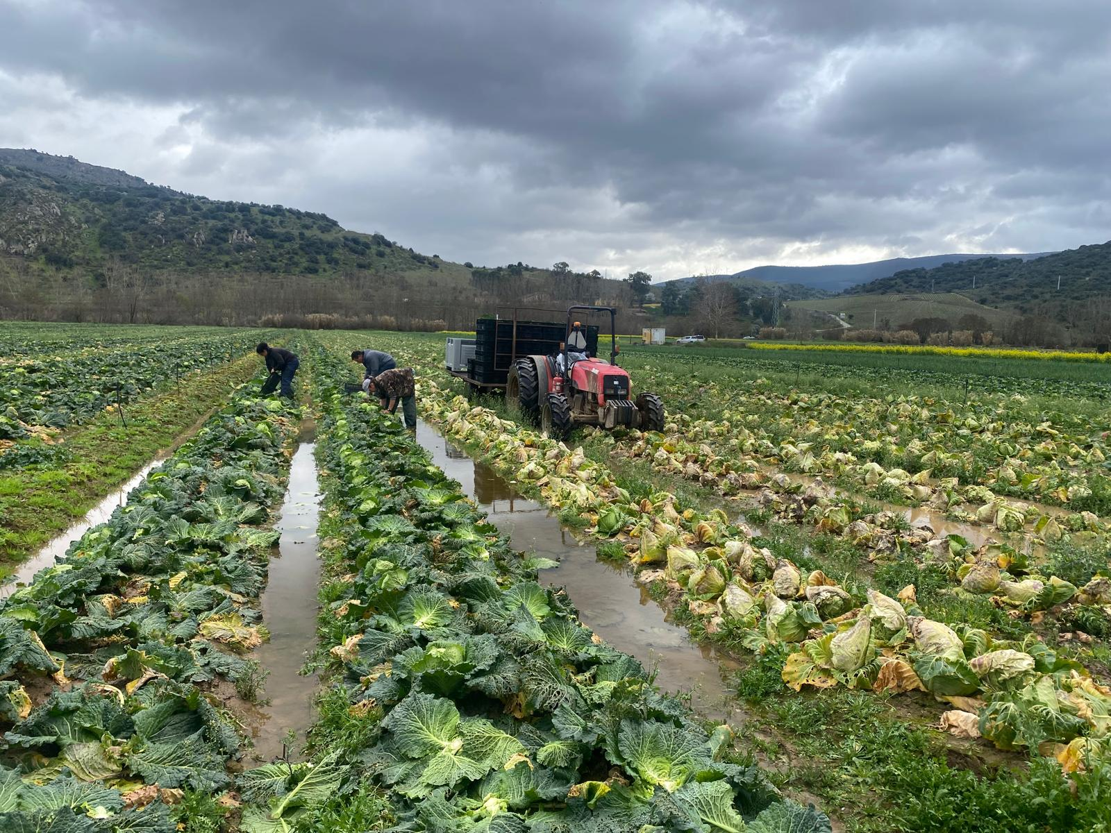 Cheias deixam rasto de destruição e prejuízos de quase meio milhão de euros no concelho de Torre de Moncorvo